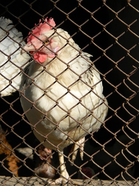 长时间的会 长时间的会