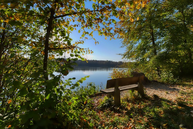 的代名词 的代名词