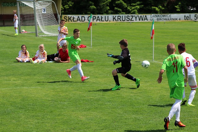 的策略制定 的策略制定