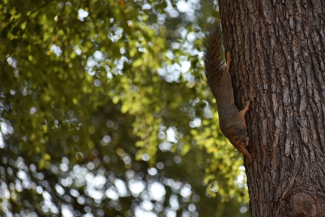 表现不俗 表现不俗