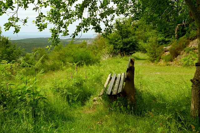 去电力供应 去电力供应