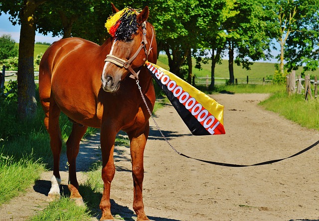 體系中走出 體系中走出