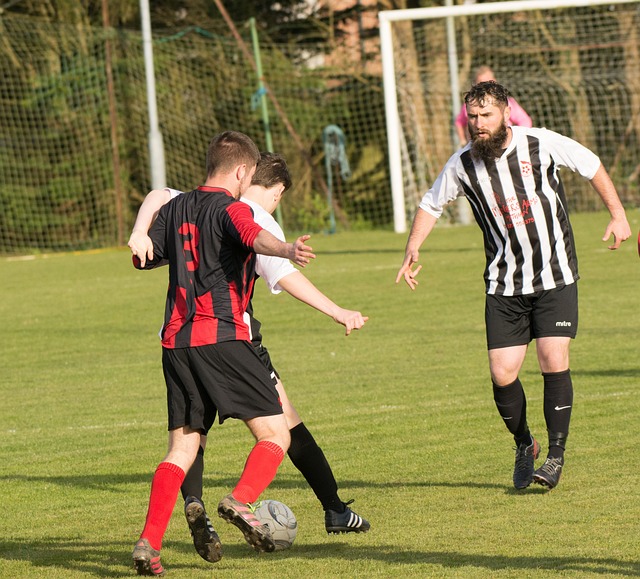 力派球员 力派球员